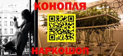 спайс Шелехов
